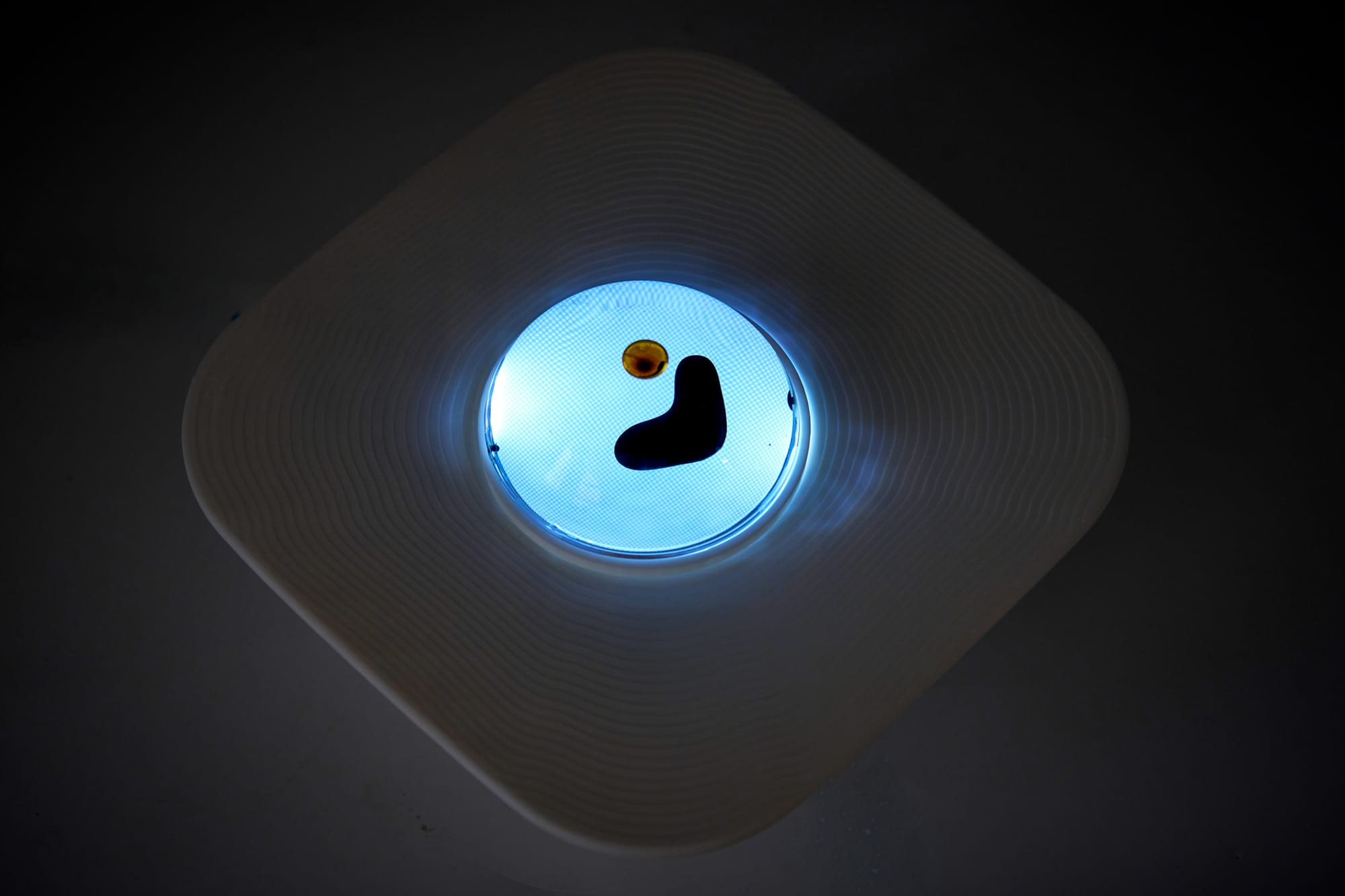 Feral — top-down view