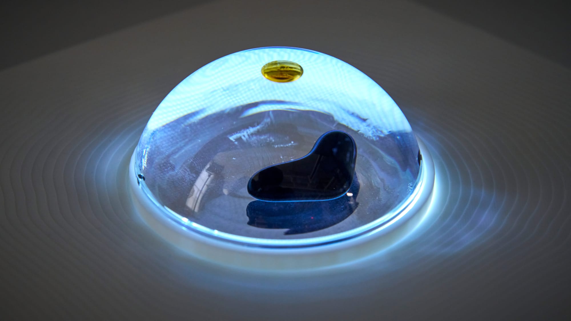 Feral — dome close-up