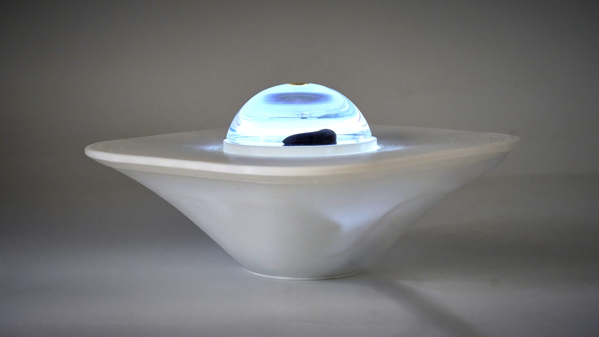 Feral — front profile