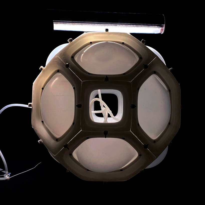 Searching for a Pulse